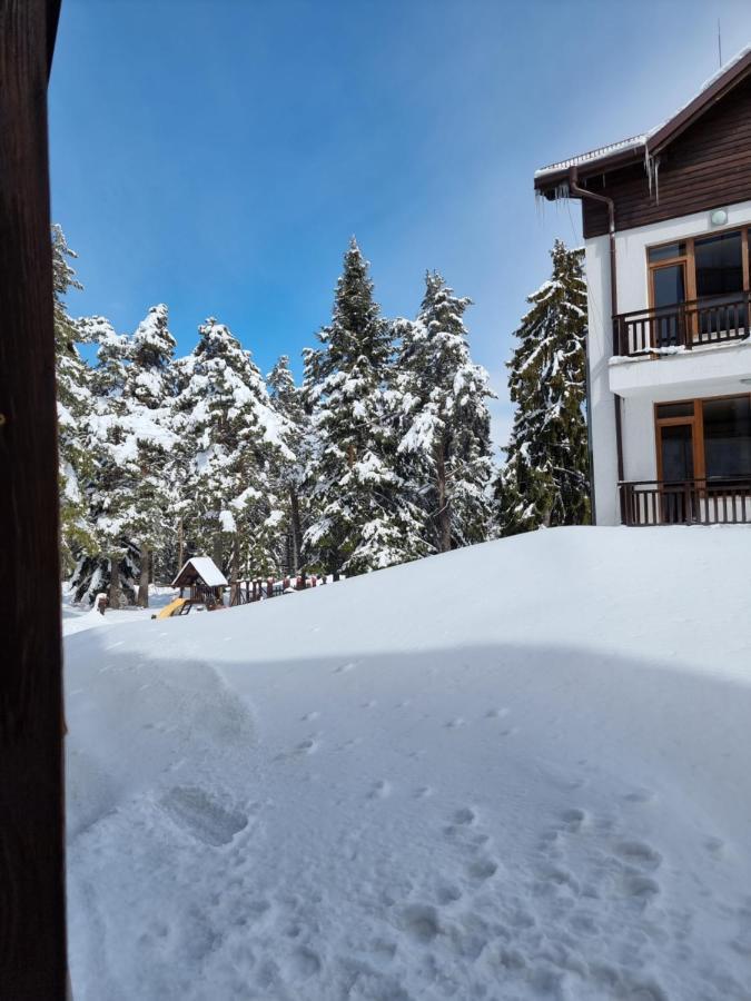 Borovets Ski&Spa Studio - Semiramida Garden A16 Ngoại thất bức ảnh